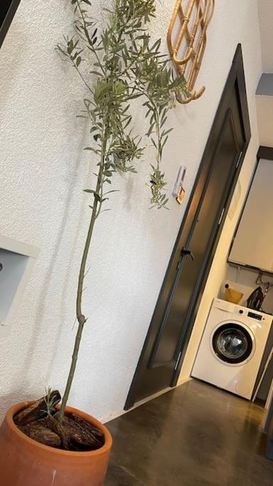 博德鲁姆K Studio公寓 外观 照片